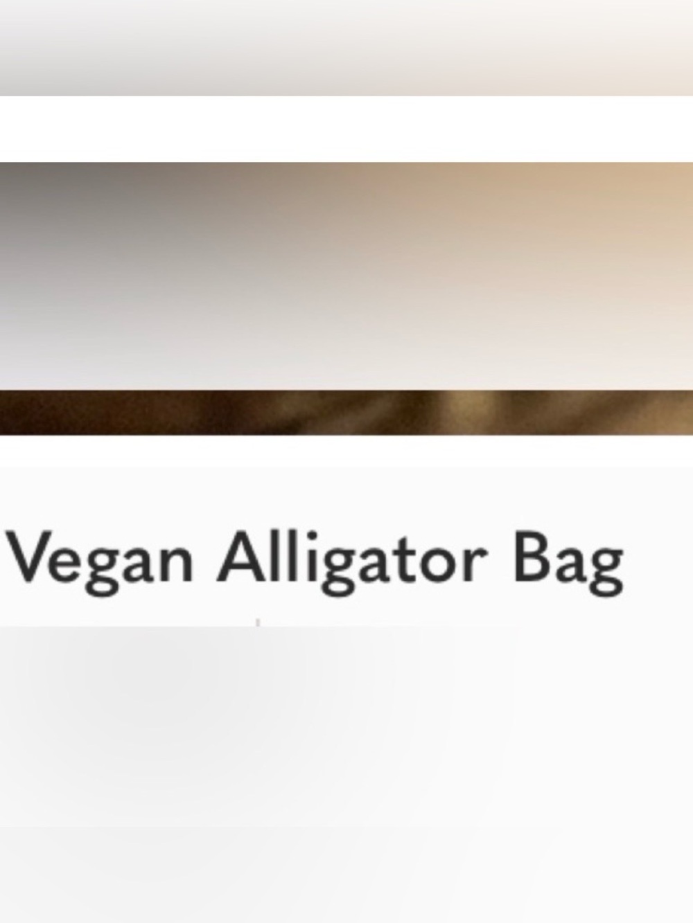 Cornell Black Vega Alligator Bag - Picture 12 of 13
